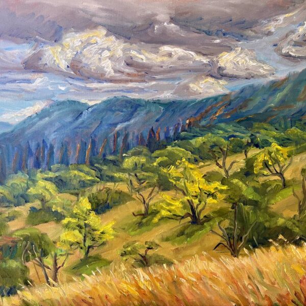 Iris Sabre - Moraga Orchard