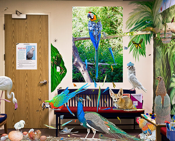 Gail Skoff - Book waiting room 2