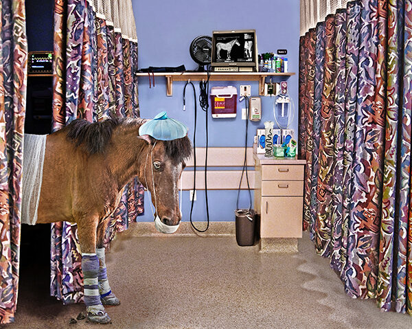 Gail Skoff - Horse in hospital