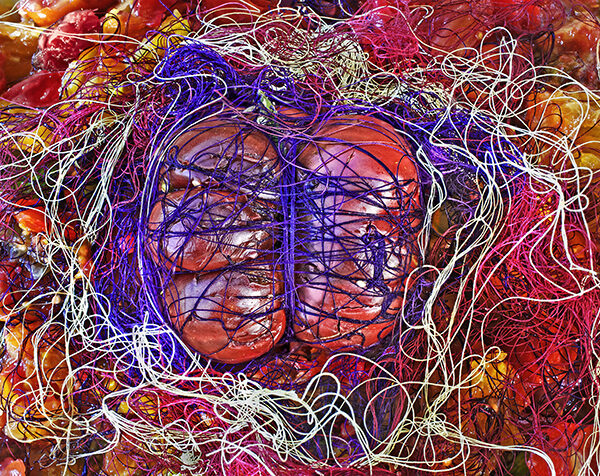 Gail Skoff - Threads