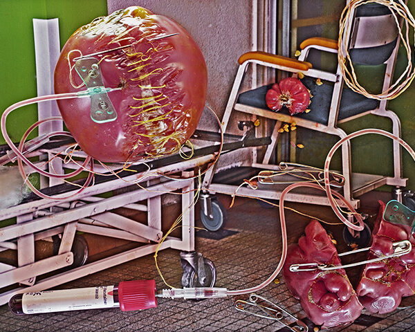 Gail Skoff - Double blood test