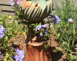 Artist: Artist: Ellen Sachtschale
Title: Magnolia Pod Fountain
Size: 27” x 8” x 9”
Media: Media: slab built stoneware vessel