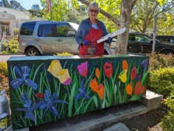 Tulips by Lassie Colbourn - Orinda Community Center (on sidewalk near front steps)