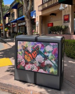 Monarch by Anne Fallin - 1 Camino Sobrante (near Starbucks)