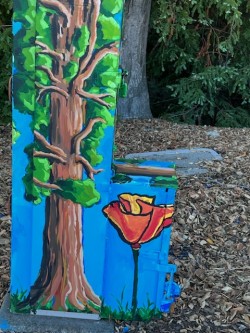 Detail view of utility box painted by Tim Hancock, located near the freeway entrance across from BevMo in Orinda