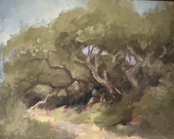 Artist: Leslie Golden
Title: "Arctostaphylos"
Medium: Oil on Canvas
Size: 8" x 10"
Price: $300 Framed