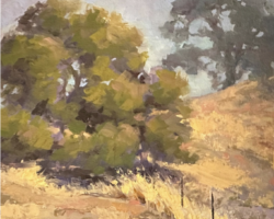 Artist: Leslie Golden
Title: "California Oaks"
Medium: Oil on Canvas
Size: 12" x 12"
Price: $375 Framed