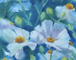 Artist: Leslie Golden
Title: "Ethereal Matilija Poppies"
Medium: Oil on Canvas
Size: 12" x 16"
Price: $450 Framed