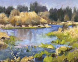 Artist: Leslie Golden
Title: "Turtle Lake 2"
Medium: Oil on Canvas
Size: 11" x 14"
Price: $375 Framed