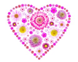 Artist: Barbara Brady-Smith
Title: Floral Heartbeat
Size: 16” x 20"
Medium: Photograph mounted on styrene
Price: $150