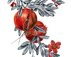Artist: Latifat Titilayo Apatira
Title: Pomegranate
Size: 17" x 21"
Medium: botanical sample, ink, watercolor
Price: $225