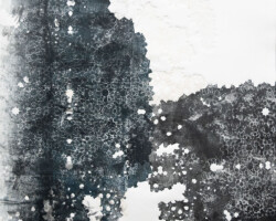 Artist: Bushra Gill
Title: Night Forest 1
Size: 22" x 30"
Medium: Monoprint and Collagraph from Laser-cut Substrate
Price: $600