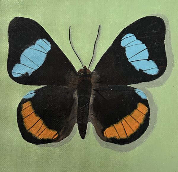 Olliver Donovan - So Blue