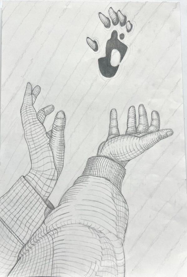 Anneliese Tarsa - Reaching Out