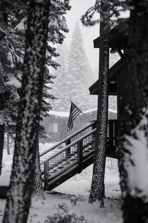 Caleb Elkind - Winter in America
