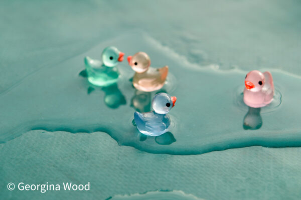 Georgina Wood - Ducks in a Pond