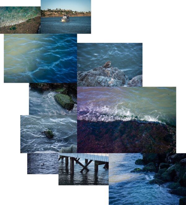 Ella Tschumy - I Sea You