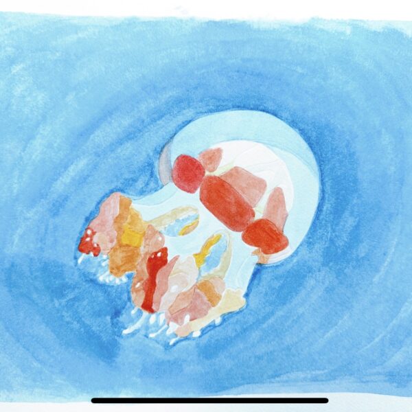 Lilah Kring - Untitled