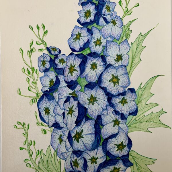 Elise Vansant - Blue Hyacinth
