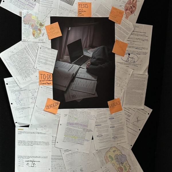 Sophie Kestell - Academic Pressure