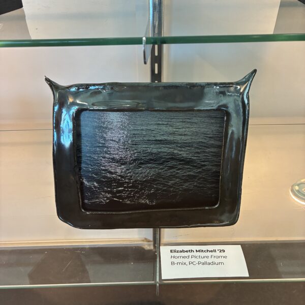 Elizabeth Mitchell - Untitled