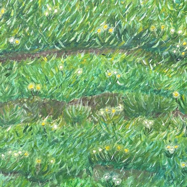 Sammy Kirk - Dandelion Field