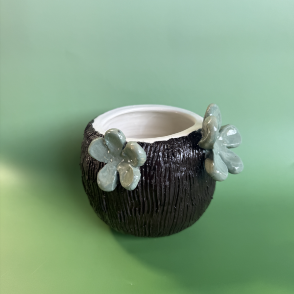 Sophia Liu - Coconut Planter