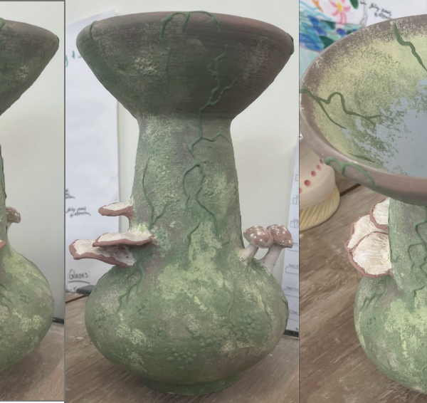 Ireland Bailey - An Espy of Mycelium