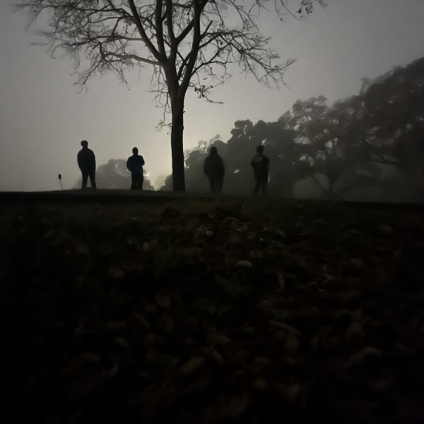 Noah Shagan - A Loss