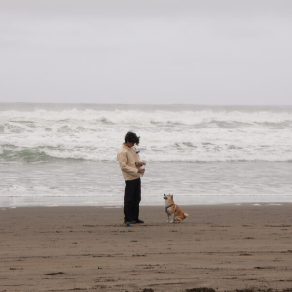 Xavier Saito - Noticed